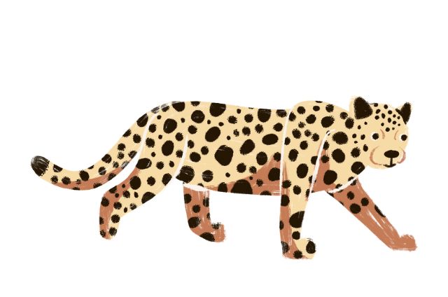 ‌‌‌चीता (Leopard) का दिमाग सातवे आसामन पर पहुंच गया, एक कहानी