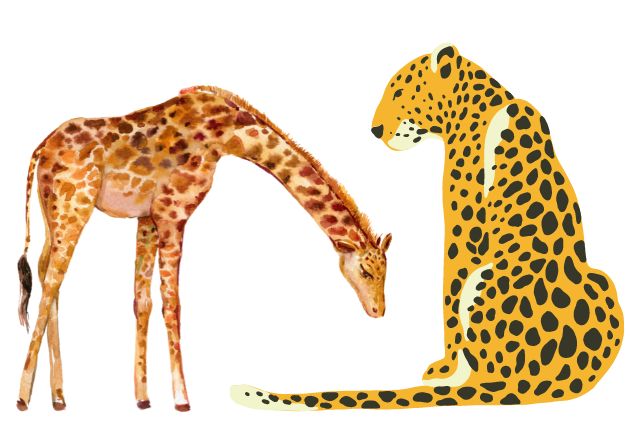 ‌‌‌जानिए कैसे ‌‌‌चीता (Leopard) और जिराफ (Giraffe) का बेटा नाक के बाल थे, एक अनोखी कहानी