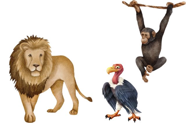 ‌‌‌शेर (lion) ने बंदर (Monkey) और गिद्ध (vulture) पर आंच न आने दी, एक मजेदार कहानी